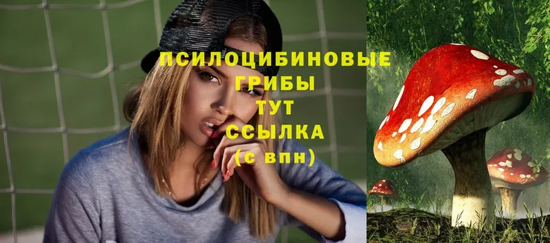 Галлюциногенные грибы MAGIC MUSHROOMS  магазин продажи   Ивангород 